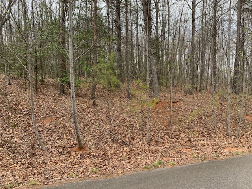 Tryon NC Real Estate, Columbus Properties, Tryon Equestrian Properties