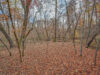 241-pinefield-dr-tryon-nc-69